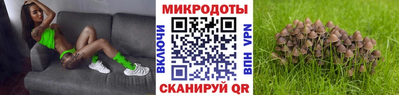 Псилоцибиновые грибы мухоморы  цены наркотик  Приволжский 